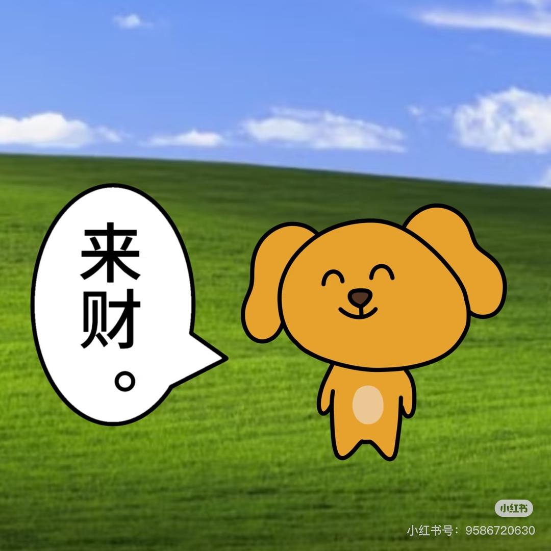 老农咪