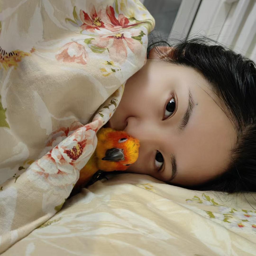 笔墨笙歌
