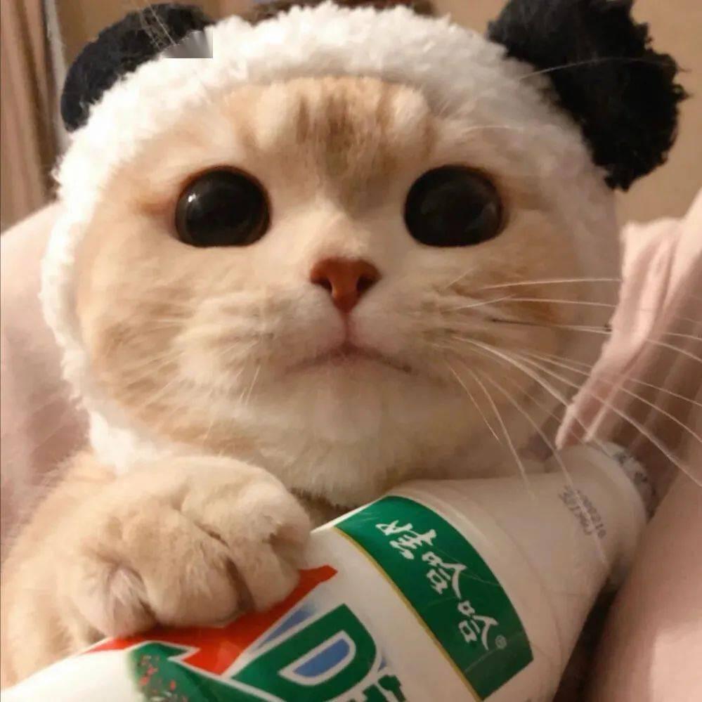 鑫鑫小厨房