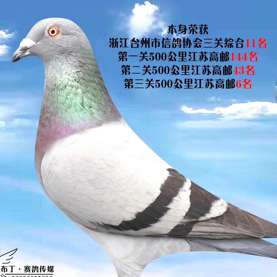 地势坤
