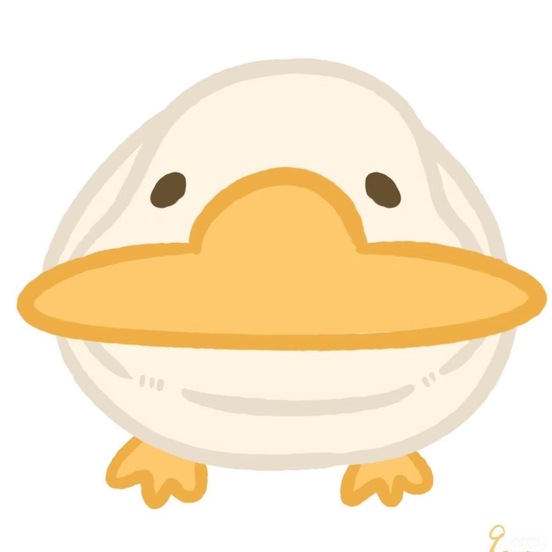 鸭鸭.
