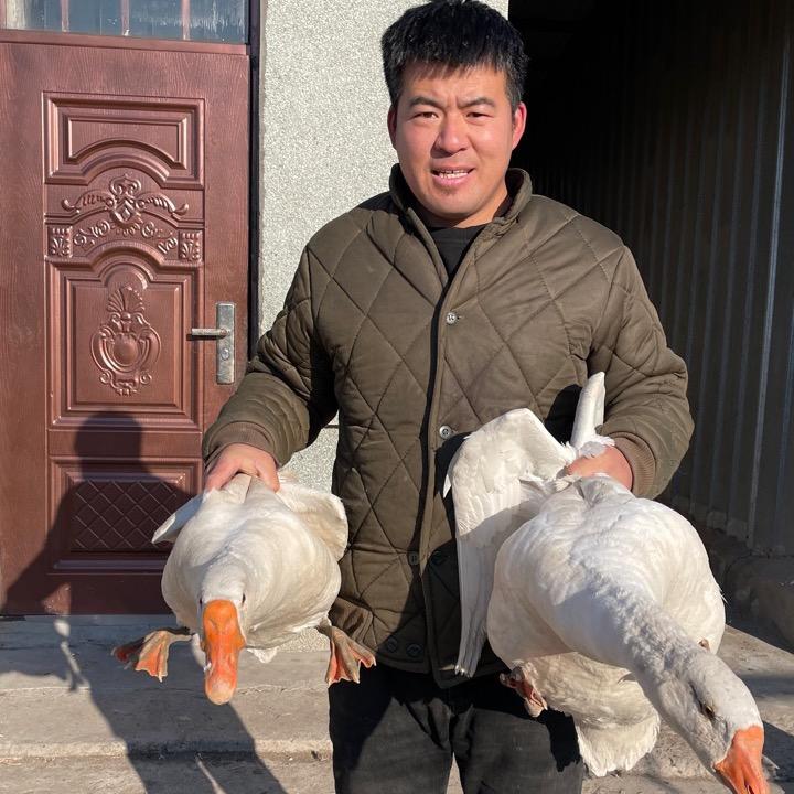 亮亮健康农场