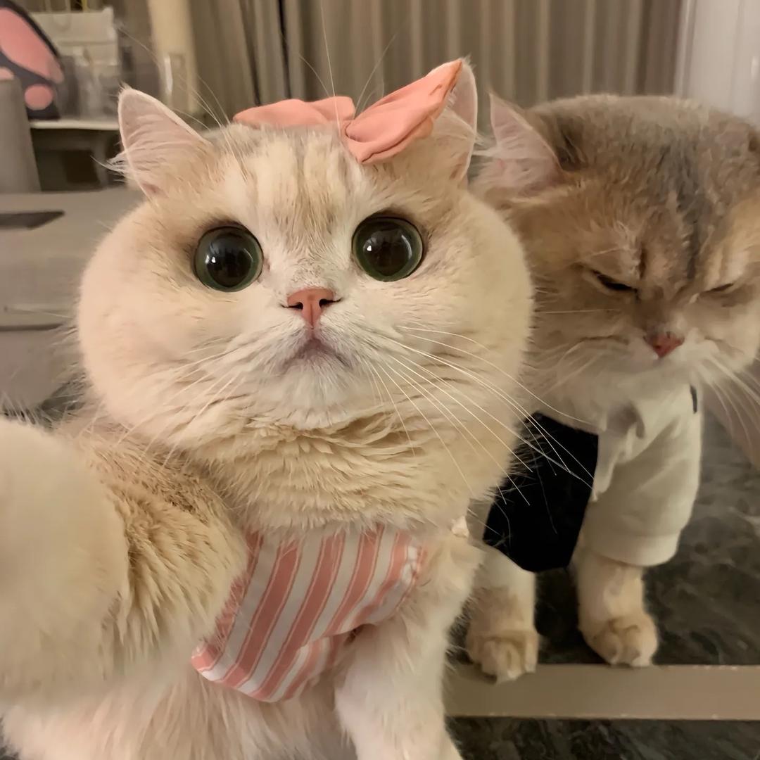 姸.