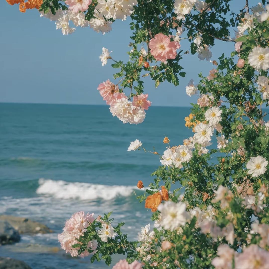 五湖四海口腾广典带你玩