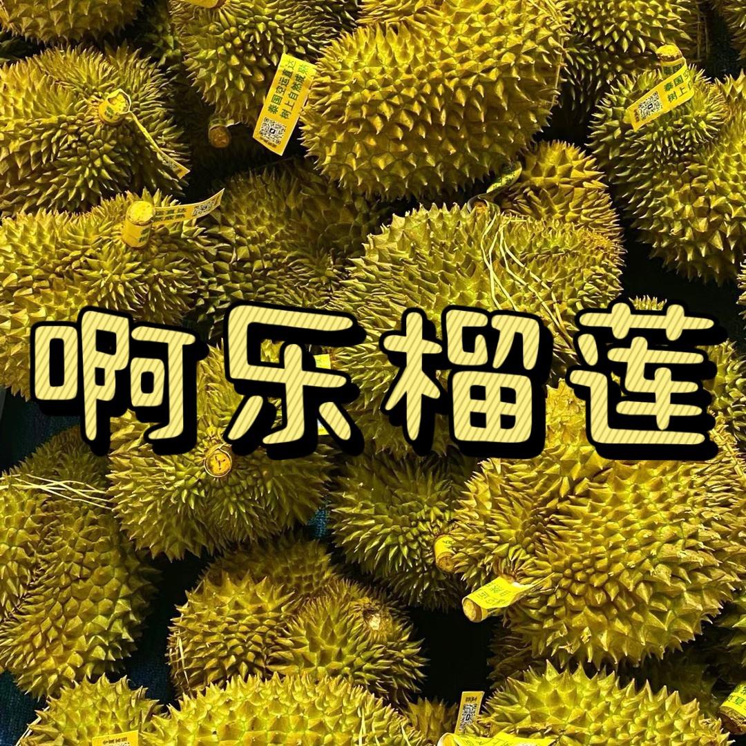 啊乐榴莲-三号