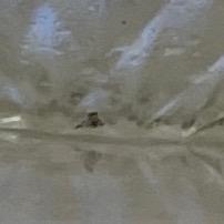 艾肯声佰乐莱维特声卡调试