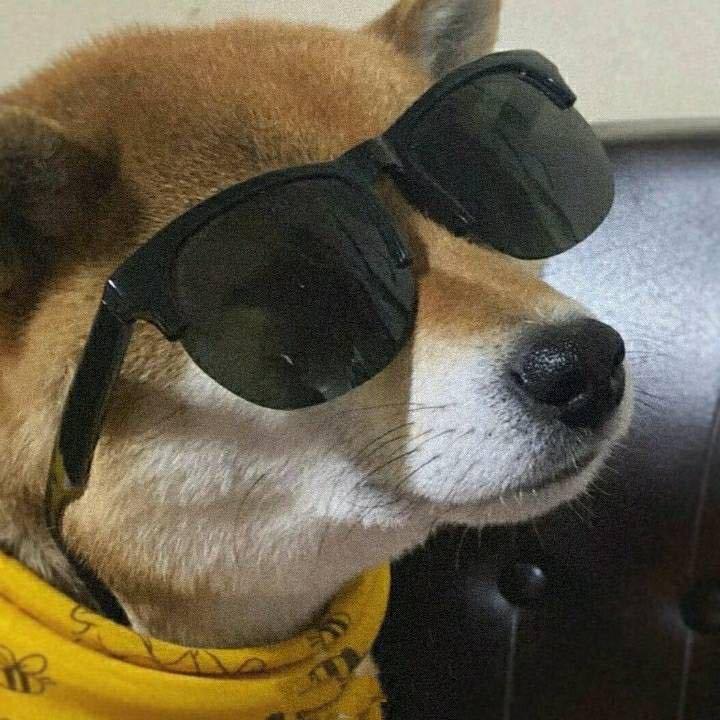 庄