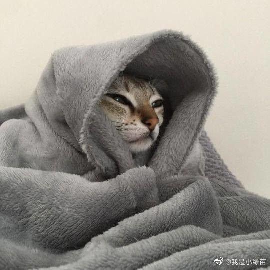十柒🐏