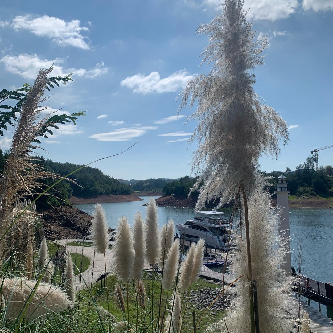 @🎷海阔天空🎤¥