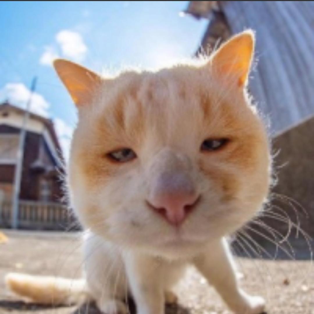 大梦想家