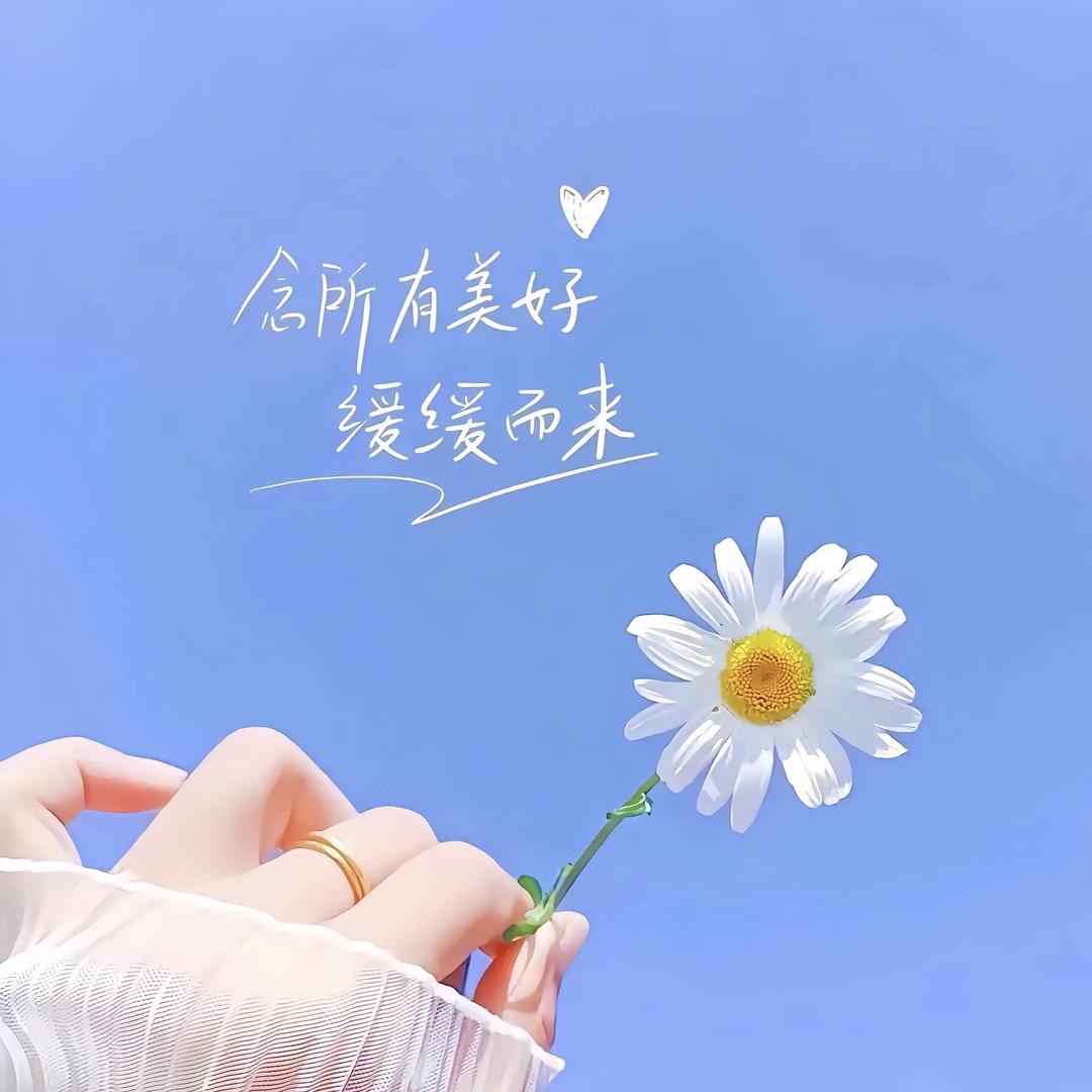 欣专照片书商贸店礼品定制