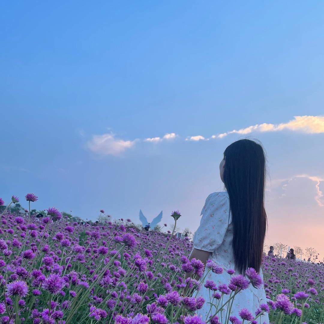 小羊羊🐑