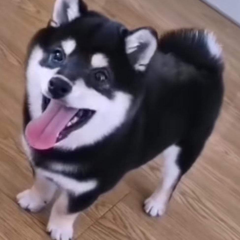 吉祥优宠俱乐部