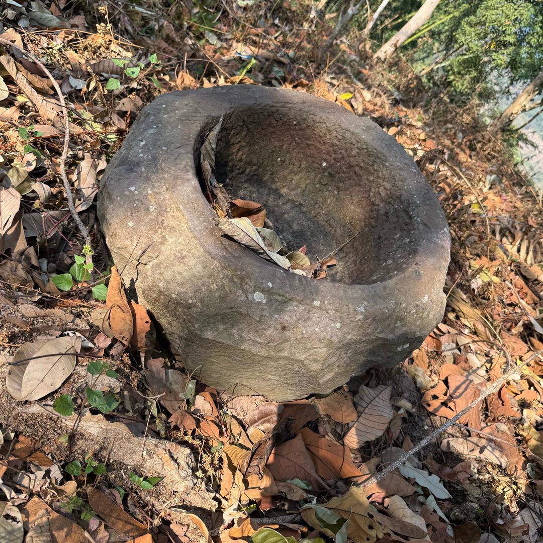 茶里 茶气