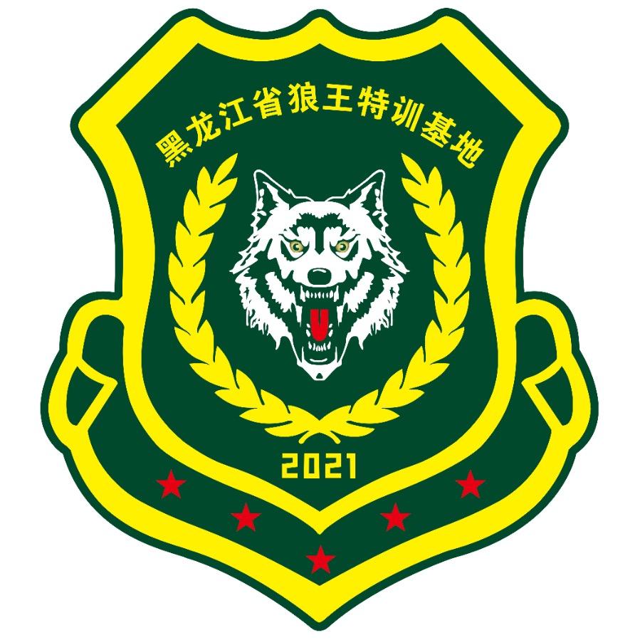 狼王健身训练营