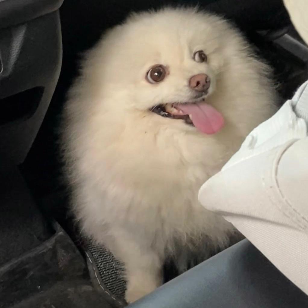 橙紫（每天学习直播版