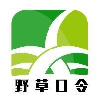 野草口令小程序