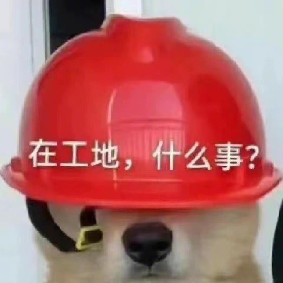 ❄️雪宝