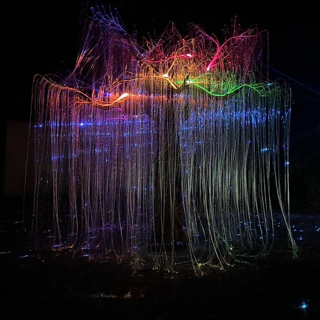 盈通汽车毛哥说车～顺风车