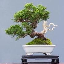 桂林碧景园艺