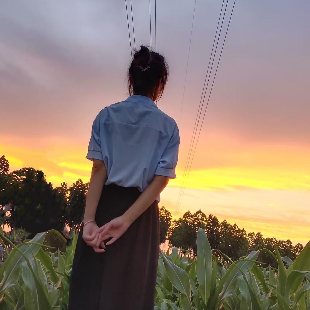 乡情白杨