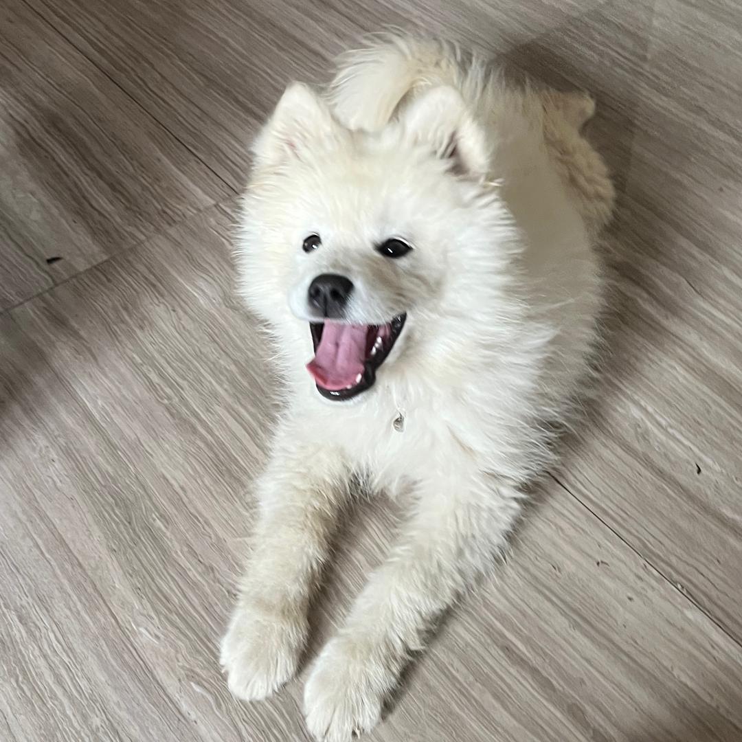 过了这个村咱们就进城