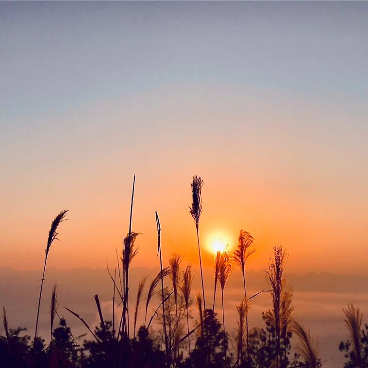 陈默（手机随拍）