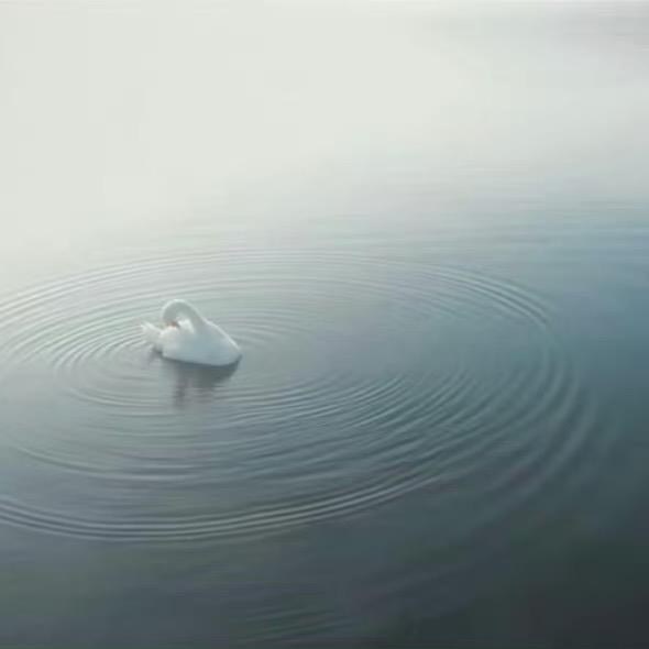 宁
