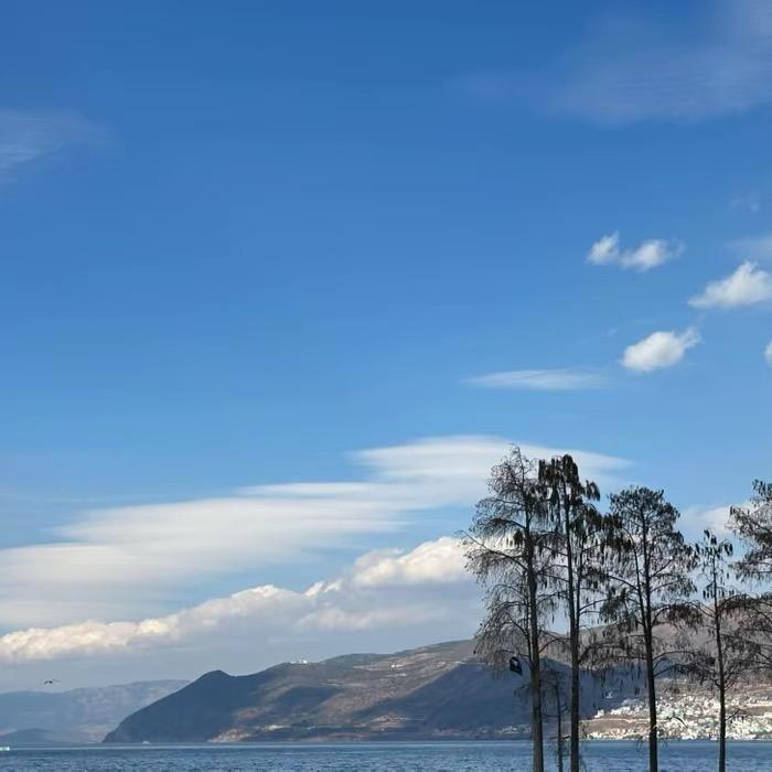 亿晨名车｜钦哥