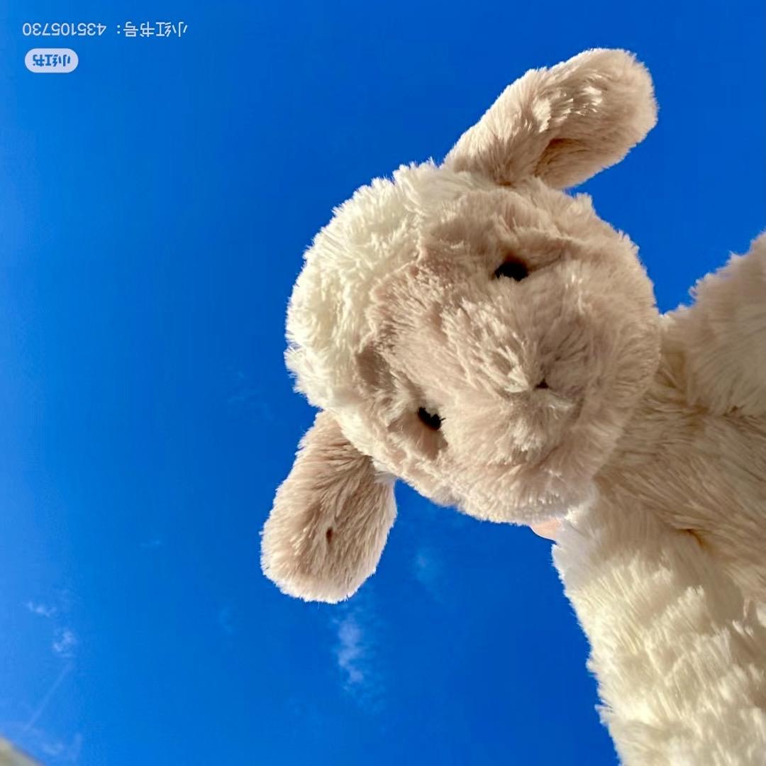 小羊🐏2