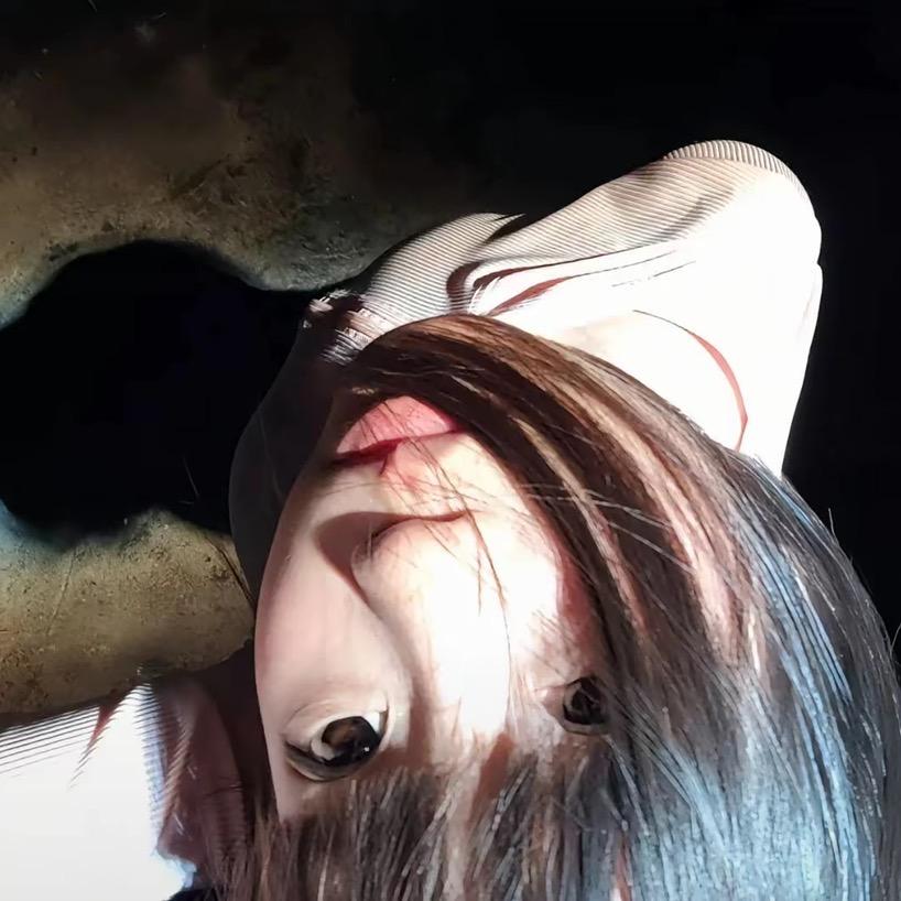 面包鱼