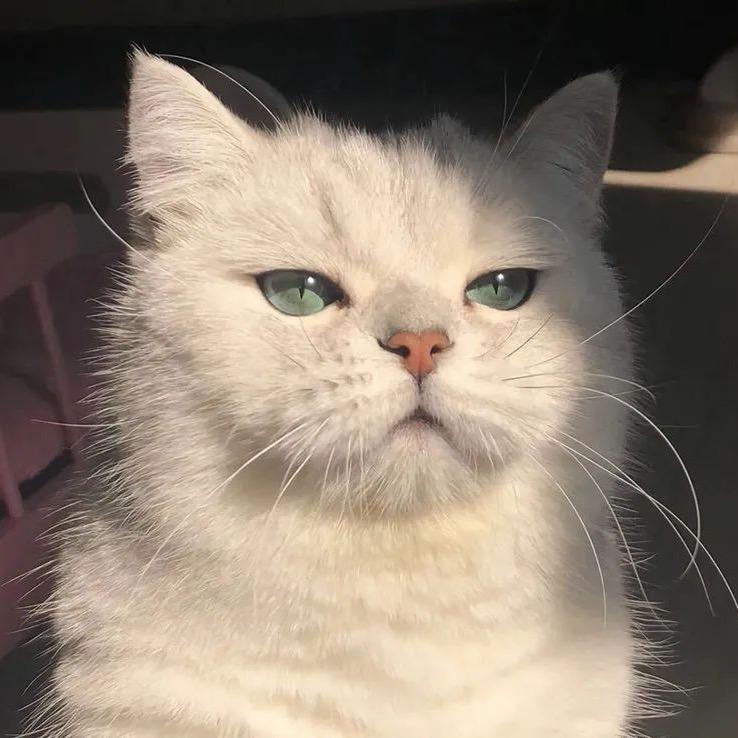苏泽