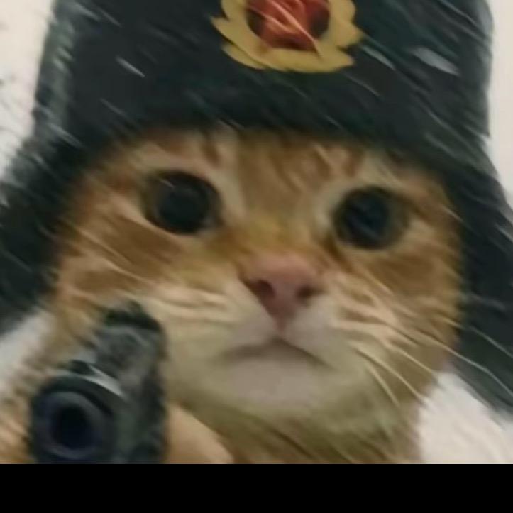 阳啊～