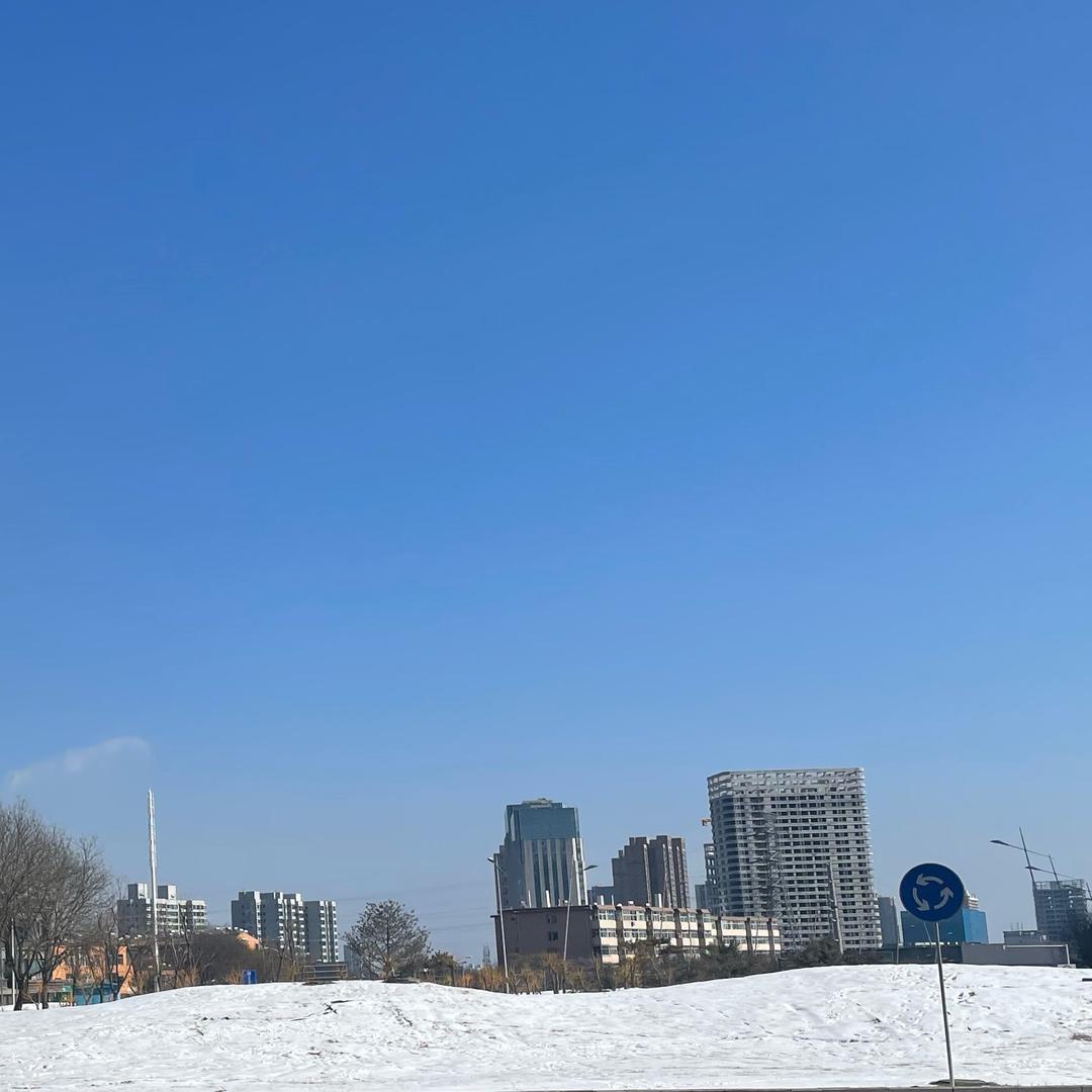 梦幻紫罗兰