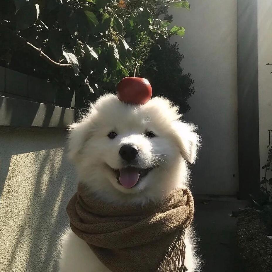 麻辣烫忠实粉丝