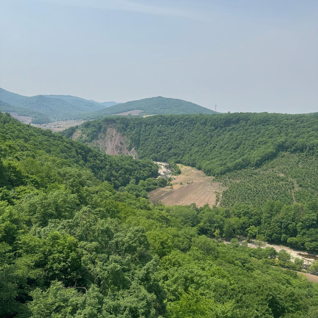 山货下山
