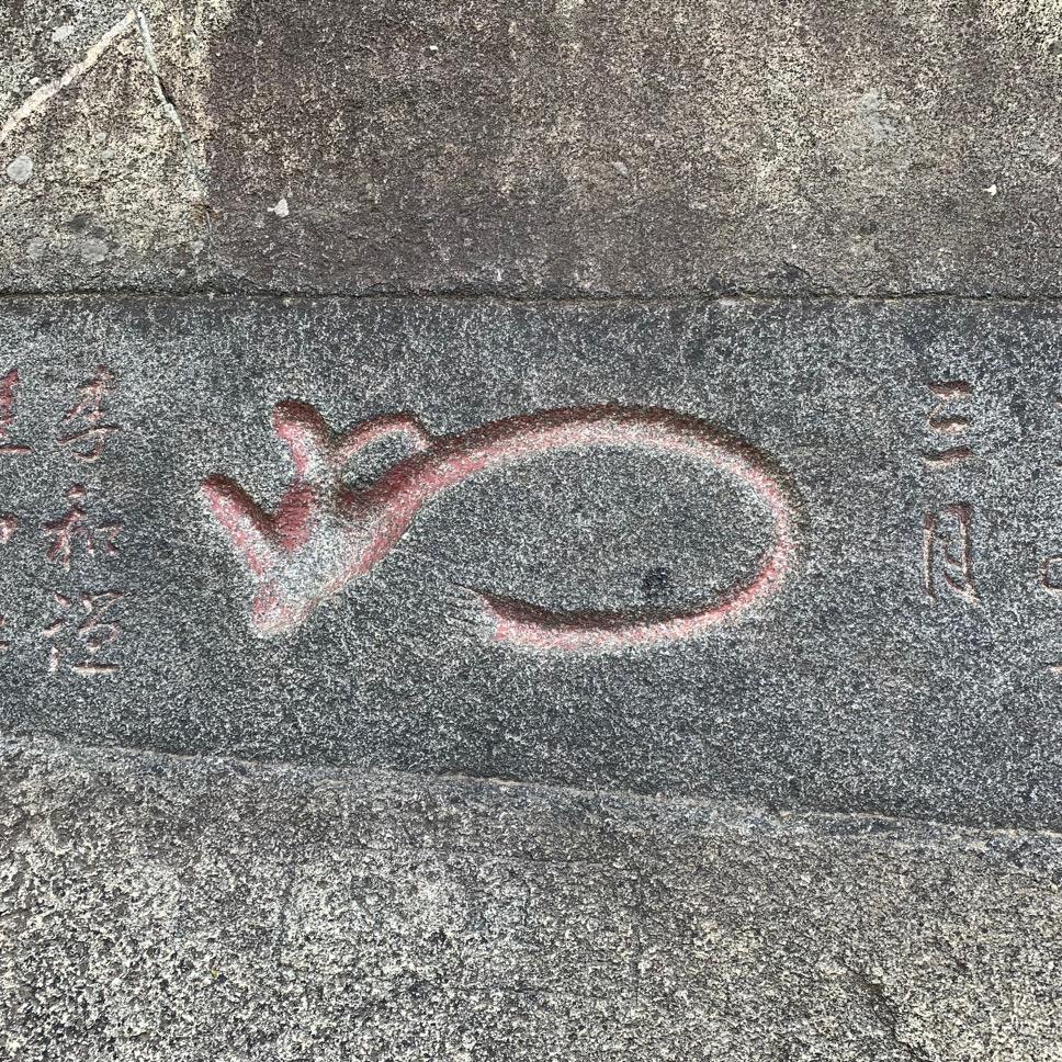 张秉君