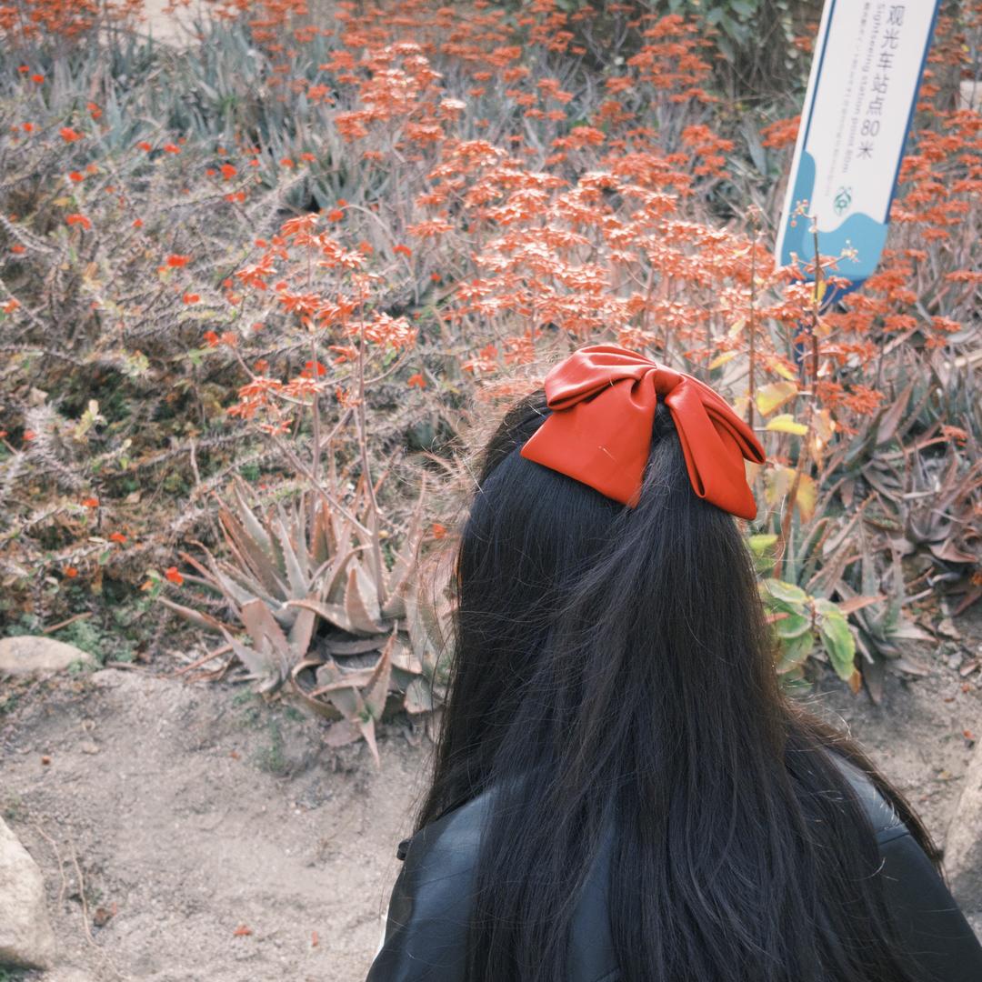 沈宝不好惹头像