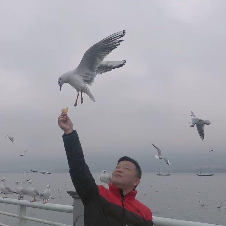 晨风车行💫阿锋