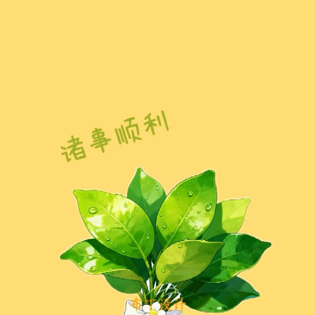 ＠新华🌸