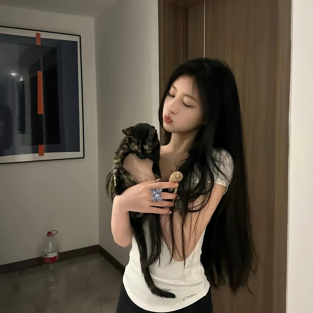 菠萝不吹雪