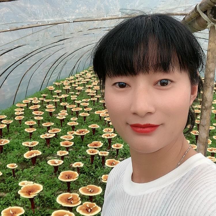 龙泉市秀芝谷木段粉