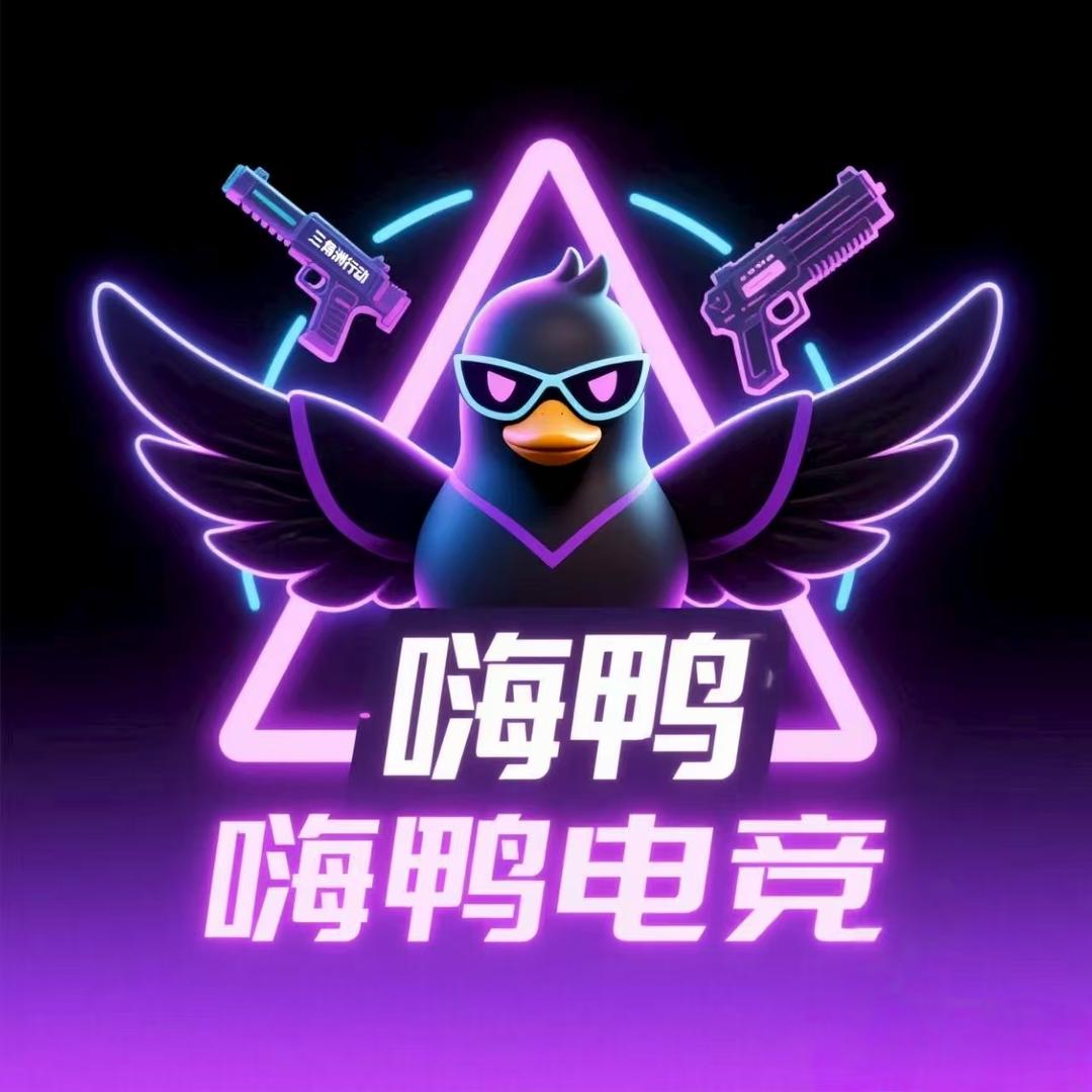 嗨鸭电竞（三角洲行动）