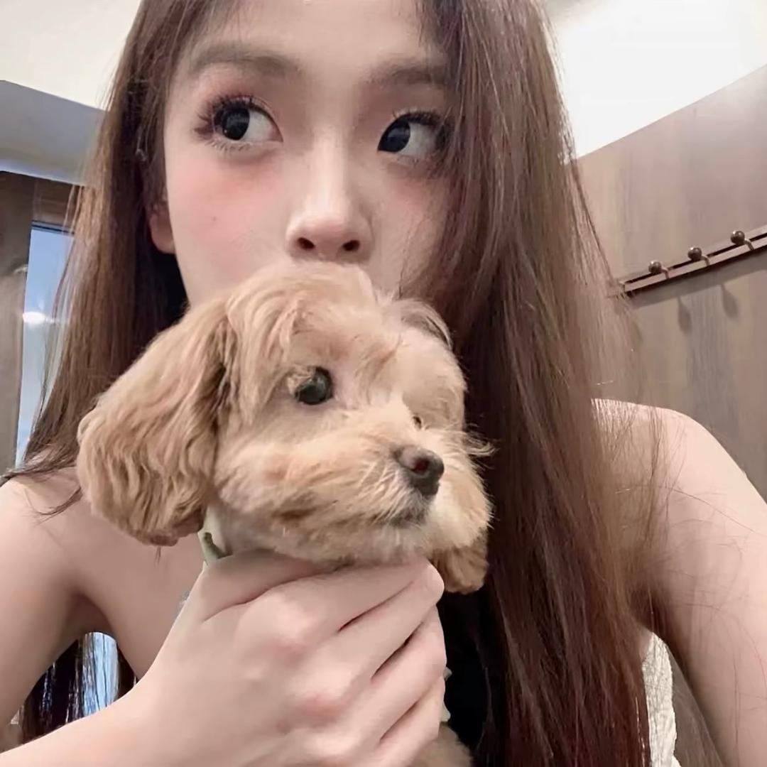 落叶子ᕑ