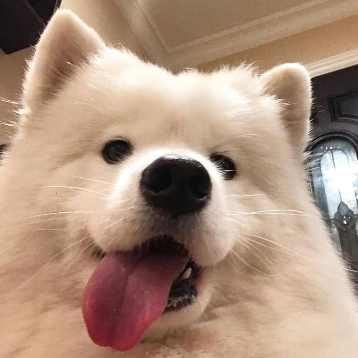 早睡