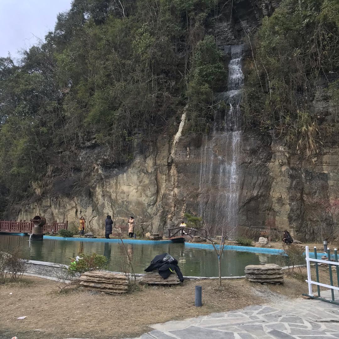 成少
