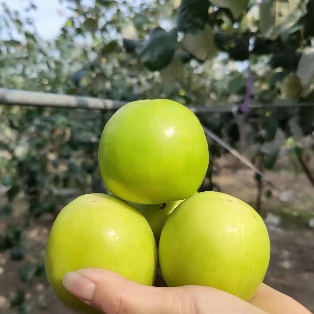 就一卖水果的