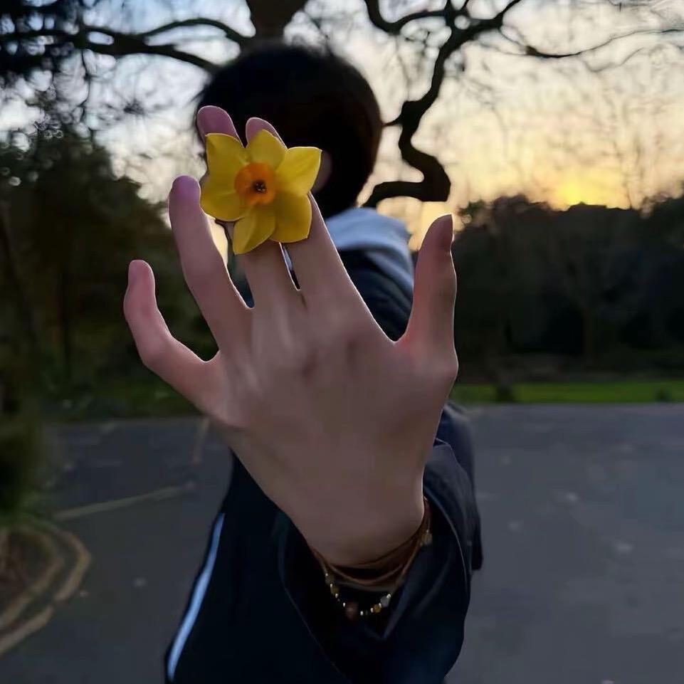 手抓饼