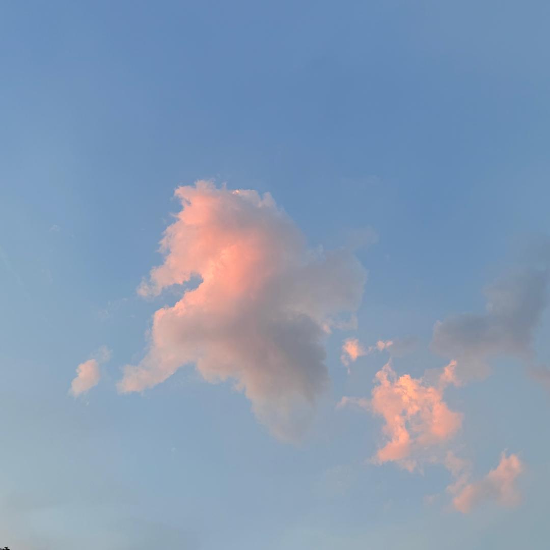 🌈大鱼🐠
