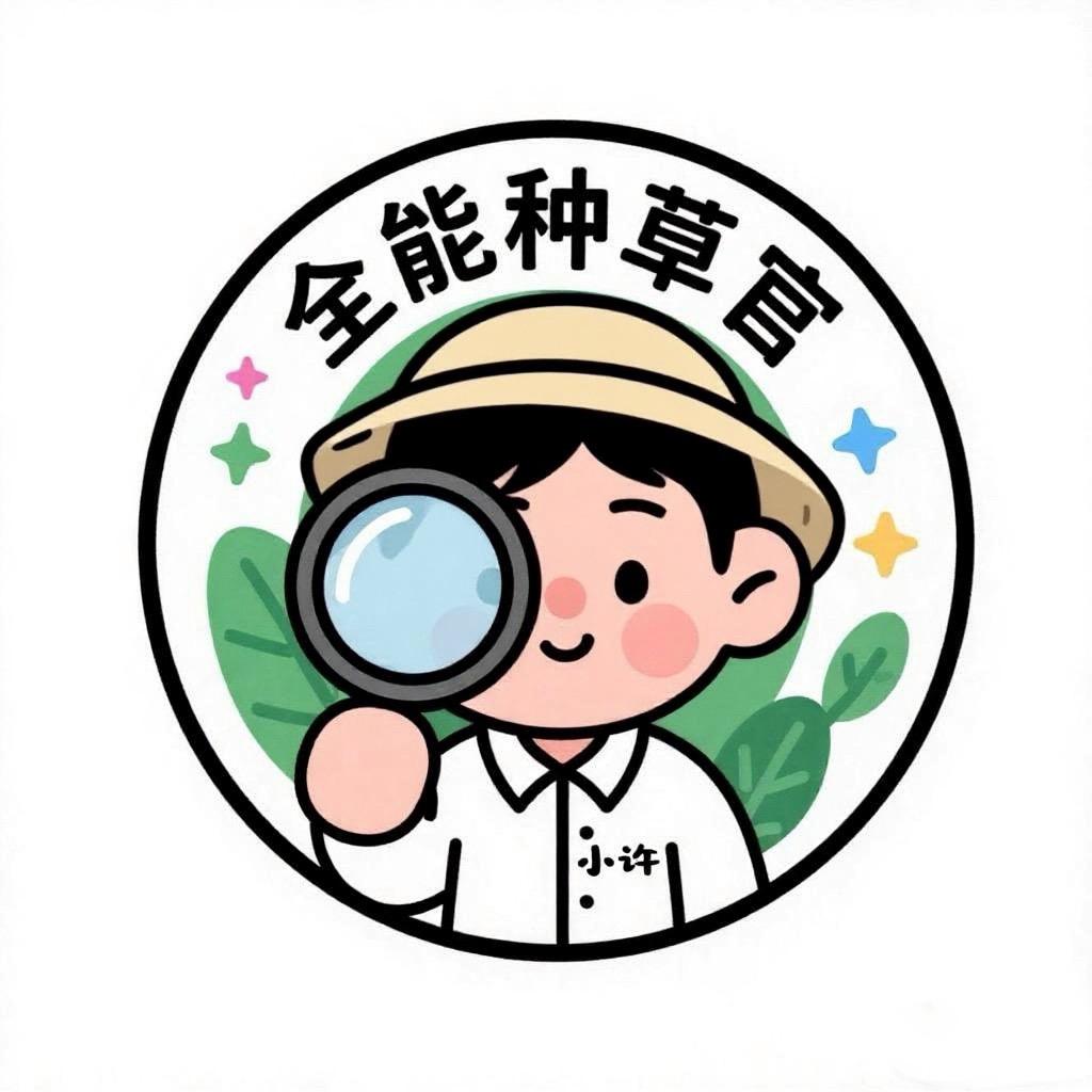 盈盛合创科技【全能种草官小许哥】